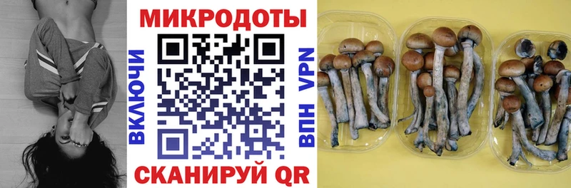 мега маркетплейс  Кумертау  Псилоцибиновые грибы Cubensis  закладки 