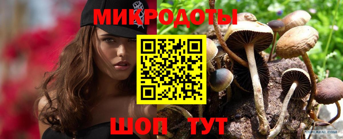Псилоцибиновые грибы Cubensis Кумертау