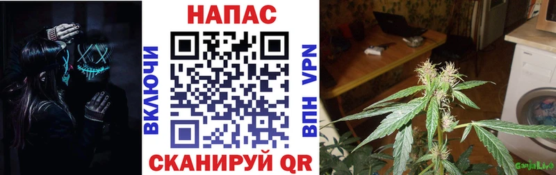 Каннабис ГИДРОПОН Кумертау
